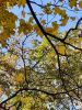 20211011_143918.thumb.jpg.13302c0221f6ae4c176aa2960a293cde.jpg