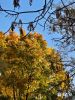 20211011_143951.thumb.jpg.34a9f4ba64f774d3cf4dc5cf20043c6f.jpg