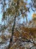 20211011_144102.thumb.jpg.27348330f0e700e65180eed7340b3ce0.jpg