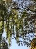 20211011_144127.thumb.jpg.a8b13599443ac4efa67027fdf9267ede.jpg
