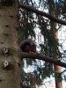 20211011_162815.thumb.jpg.33c49314e7baecf9c61f2e3360942c56.jpg