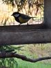 20211011_162840.thumb.jpg.0fe030a0392433f3e6423aee9cfba2d8.jpg