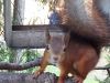 20211011_162955.thumb.jpg.78509a5b8a3f1c38bbcade8089a377f8.jpg