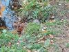 20211011_163311.thumb.jpg.03f97d4fb3c8221ed732c35dea686757.jpg