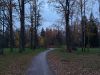 20211011_181557.thumb.jpg.3cbd52be39811602396b7f51311969c1.jpg