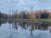 20211011_181955.thumb.jpg.4410721658801c86d981b02e23754f63.jpg
