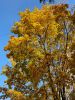 20211012_110608.thumb.jpg.64b6ea412a6e24bcd6a9e567b23c1eb9.jpg