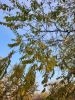 20211012_111036.thumb.jpg.62dff5f3206339c25341bb2ba5525116.jpg