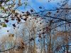 20211014_150524.thumb.jpg.bd6ba7f9614fc37bfc82b16a7570a372.jpg