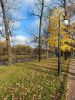 20211014_150736.thumb.jpg.5b9d761f7edfafc9bf8310f0492416aa.jpg