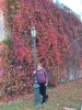 20211014_162425.thumb.jpg.0b26a7b2056555d9edfd12c57f7060ac.jpg