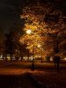 20211014_190204.thumb.jpg.ea4f4ac7f895278b5bd0f76cf722552c.jpg