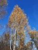 20211016_111610.thumb.jpg.1706138c1446889dfac0c3037ae0b67e.jpg