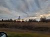 20211016_165819.thumb.jpg.9ab9db93d793876f72412a858d7830be.jpg