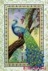 Anchor CC-80455, Павлин Ренессанса (Renaissance Peacock)