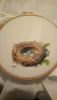 6.thumb.png.65bdac8f4b435133f430fd2eca04201d.png