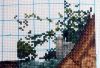 769772845_2021-10-0920-50-48.thumb.JPG.33e8e5682ceca02023a7c7d2c0b4fcb8.JPG