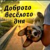 7ea2ad34-b925-4446-ad21-d26195371f7b.thumb.jpeg.df61d58d782cac3f2b61ce765a60ba36.jpeg