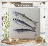 Les 3 Poissons PORT26, Isabelle Vautier