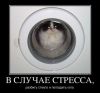 8afd11857f0844497059119cc422c25d--ps.jpg