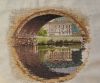BAA4B3BA-BDCF-4D96-AF76-B47F392AAF02.thumb.jpeg.e22d77cc4f81844abc941c62f5bf2597.jpeg