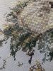 D033F529-CBE8-4FE9-9958-9BE347B531B1.thumb.jpeg.de9d0b541871d2e6707b12a32b6b3633.jpeg