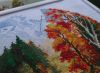 DSC02247.JPG