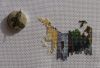 DSC02301.JPG.7b651e3ce799bf987001b972353e4c91.thumb.JPG.da4a56ce0fd3c42fee7dc692e5873f6f.JPG