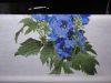 DSC05924.JPG.8baad007ef80360aa6ea43d73b12a7e2.thumb.jpg.c3c1918497cd368beb79a866d4a0985f.jpg