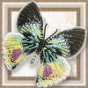 EF4D719C-3B0B-4CBE-9CD0-8B5ACB4C39F0.thumb.jpeg.67c579a137c554ae93db5a7e0e080fa4.jpeg