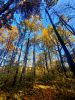 IMG-20211004-WA0001.thumb.jpg.e2d430588e6e734c0cde3d7962009fc2.jpg