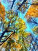 IMG-20211004-WA0013.thumb.jpg.2d052cd4f0e51ebee77497c30afbce35.jpg
