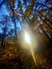 IMG-20211005-WA0001.thumb.jpg.e2a2c954287f7d6b474ee81f93a18867.jpg