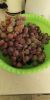 IMG-20211006-WA0005.thumb.jpeg.55f0cc9bc2adb79690d2ead841ab159b.jpeg