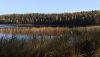 IMG-20211006-WA0012.thumb.jpg.7ab9cefca1f8d25ed21c4e11a317f1c9.jpg