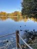 IMG-20211006-WA0027.thumb.jpg.e31b20921266e81c7262a3b6afb1da06.jpg