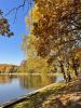 IMG-20211006-WA0048.thumb.jpg.d7ce35dd1bf7689d91796e936be89e62.jpg