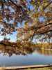 IMG-20211006-WA0058.thumb.jpg.b9ceb73b9eb8ca86a18e520b3574b52e.jpg