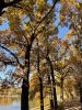 IMG-20211006-WA0061.thumb.jpg.7516df18c3adda94726e9f4a6ac12fe8.jpg