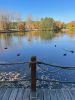 IMG-20211006-WA0063.thumb.jpg.0ec401f29e9a36dfa75f3d7a1107b332.jpg