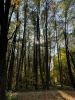 IMG-20211006-WA0065.thumb.jpg.7f037309a3cf44c033e0be2bfd4e7e11.jpg
