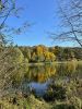 IMG-20211006-WA0072.thumb.jpg.cb7f09c480d71f882464da57f0303a77.jpg