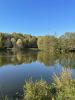 IMG-20211006-WA0088.jpg