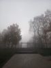 IMG-20211008-WA0001.thumb.jpg.cf7b0da8d2c97fb7127063313ce7ed01.jpg