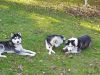 IMG-20211009-WA0003.thumb.jpg.6d82fec60a2071c26a4b7058b6d545d4.jpg