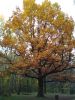 IMG-20211011-WA0005.thumb.jpg.48f061ab8f2019204bca8a79f90adb8c.jpg