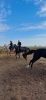IMG-20211016-WA0009.thumb.jpg.a42f523297b6fc05a3dfda589d82de87.jpg