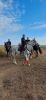 IMG-20211016-WA0010.thumb.jpg.17adb045bc75f76adccfd329eb65ac28.jpg