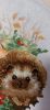 IMG-20211025-WA0007.thumb.jpg.75988b3bde59b150769bb020d3084078.jpg