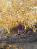 IMG-f016127ef744a64856b4fc84f9c3ea38-V.thumb.jpg.4fda73320690b6fa13f3c9bb8ecf13a0.jpg